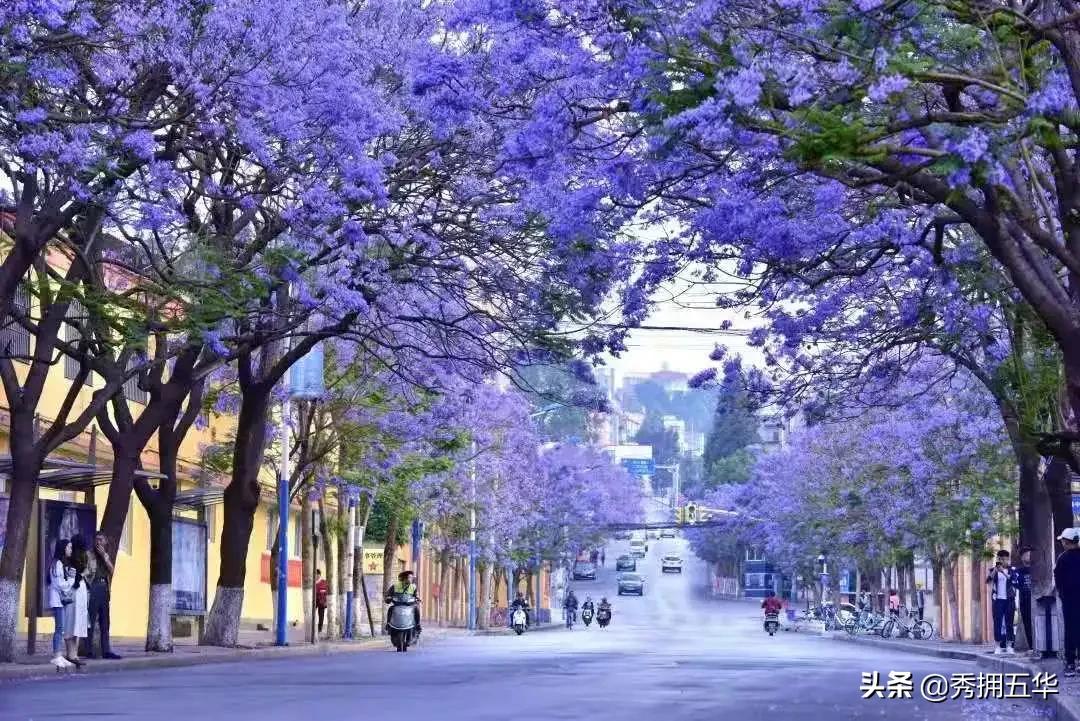 2022年宣传思想工作思路举措,宣传思想亮点工作