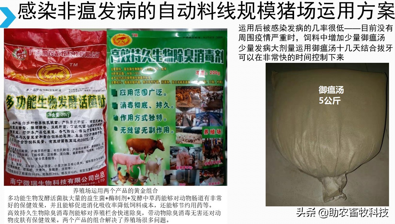 原创运用中草药防治非洲猪瘟有效吗？组方和有效防治措施分享