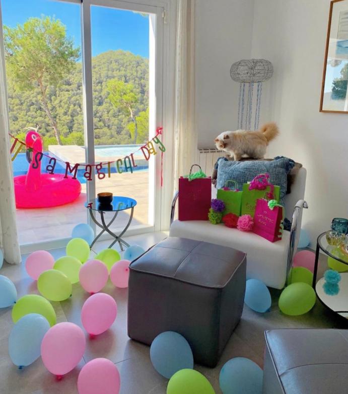 老佛爷卡尔生平,老佛爷卡尔为什么叫老佛爷