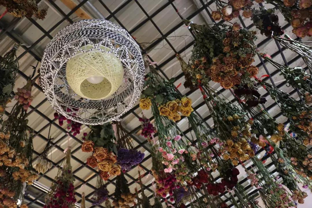 郑州三大花卉市场都是哪个,郑州哪个花卉市场最全