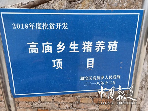 河南生猪代养,生猪代养注入致富活水