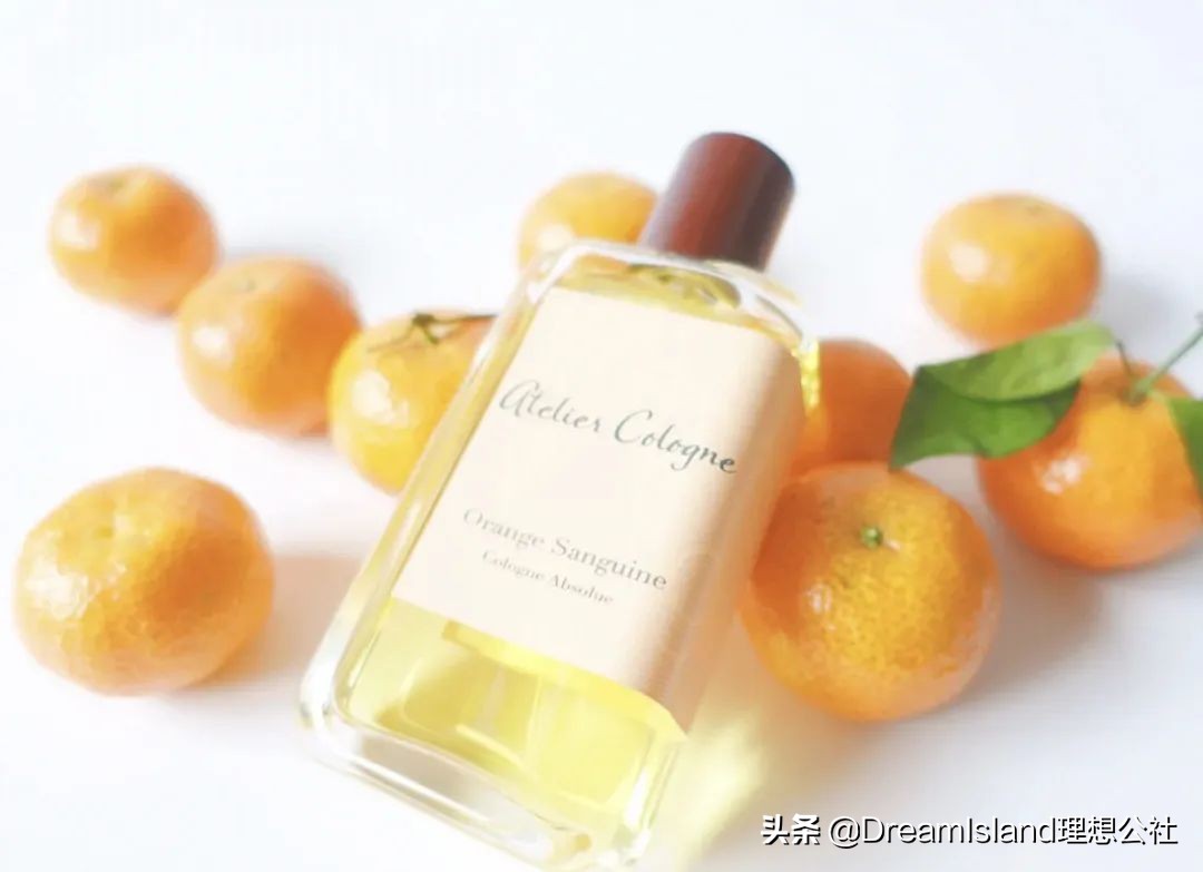 超好用的宝藏单品,拥有这几件单品足够了