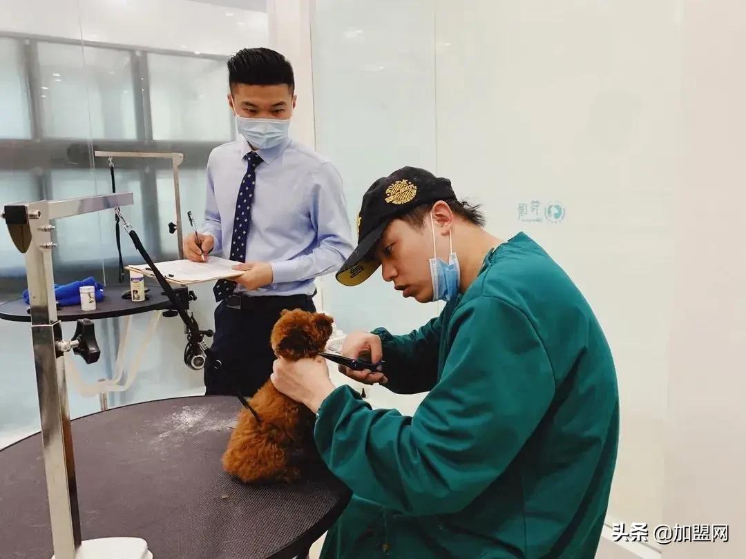 适合较低投资的加盟店,加盟创业小白店