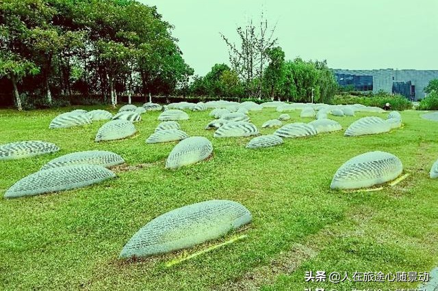 南京面积最大的公园，美不胜收却被游客忽略