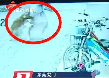 紧急提醒一周接诊超500例,已进入秋冬季呼吸道传染病高发季