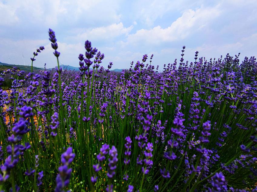 娼嶅潑鐢佃鍙伴煩鏅撶劧,闊╂檽鐒舵綅鍧婁富鎸佷汉
