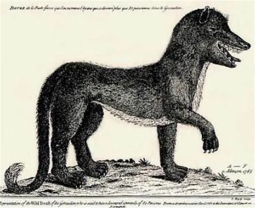 银弹杀死狼人,狼人被银弹打死的电影