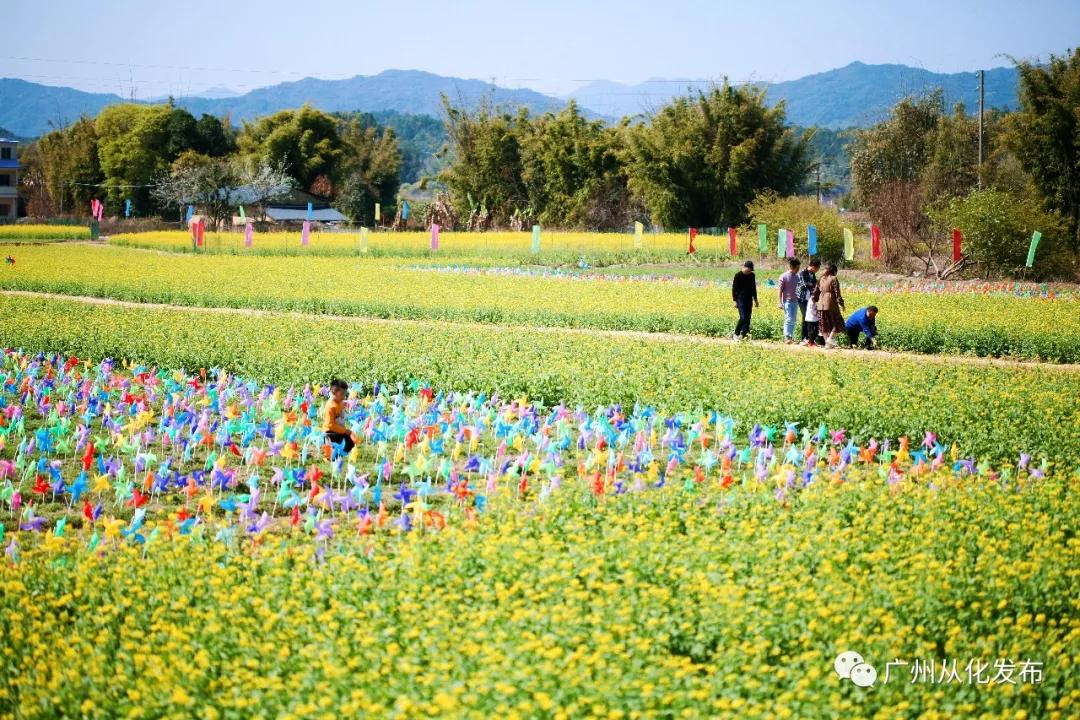 从化吕田美食攻略,从化吕田特色美食有哪些