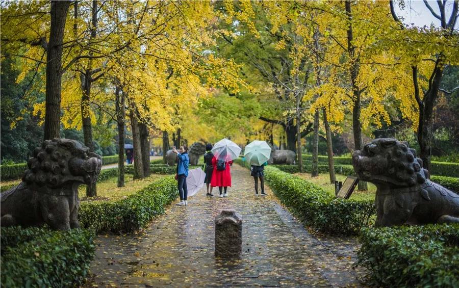 骄傲中国推荐理由,南京入围全球最佳旅游地