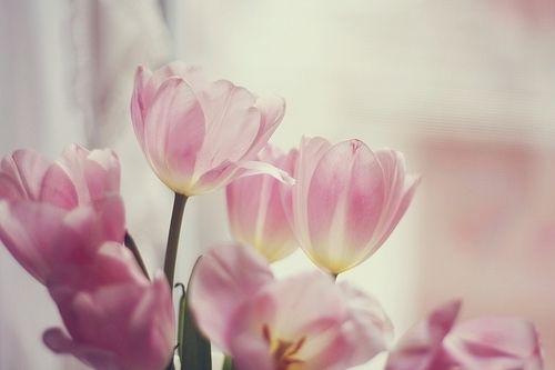 鼓励自己努力的语句励志,积极努力励志的说说简短