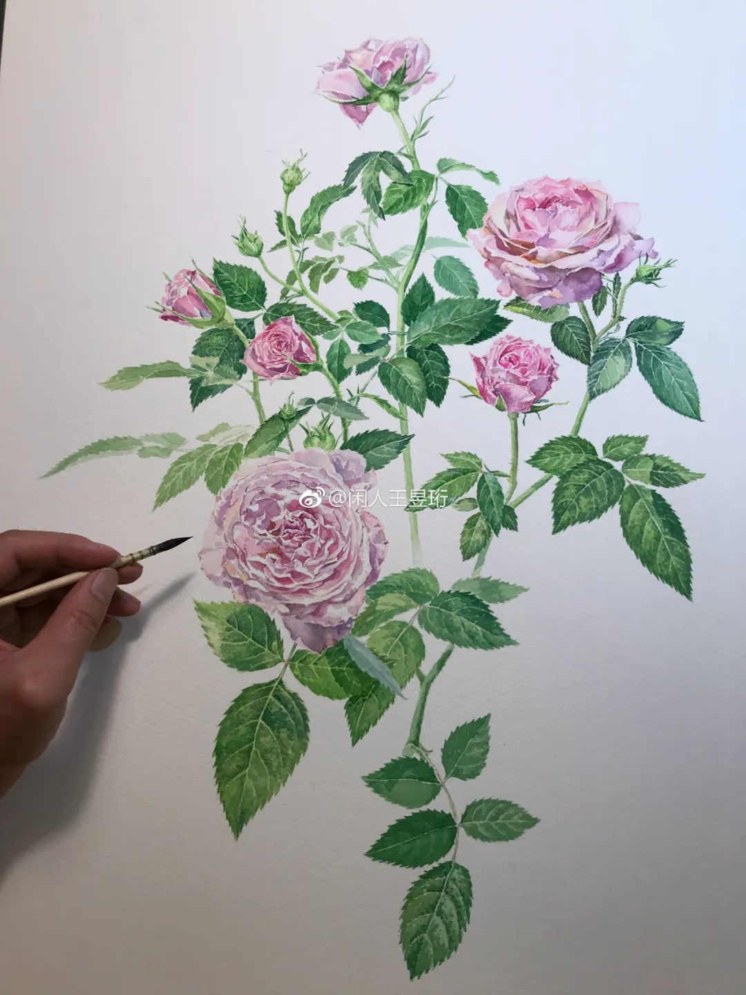 王昱珩上学经历,清华毕业的王昱珩