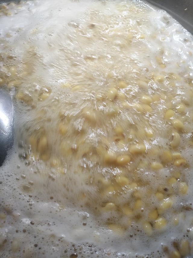 西瓜酱的制作全过程,制作西瓜酱的全过程