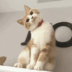 华为手机用久了卡顿解决方法,华为手机用久了出现卡顿怎么解决