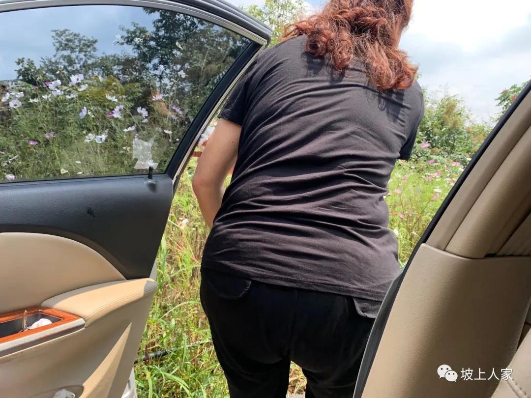 一只宠物猫在外面可以活多久,单独养一只猫它会孤独吗