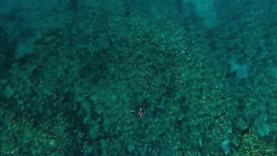 沙特建设沙漠公园,沙特5000亿美元沙漠造新城现状