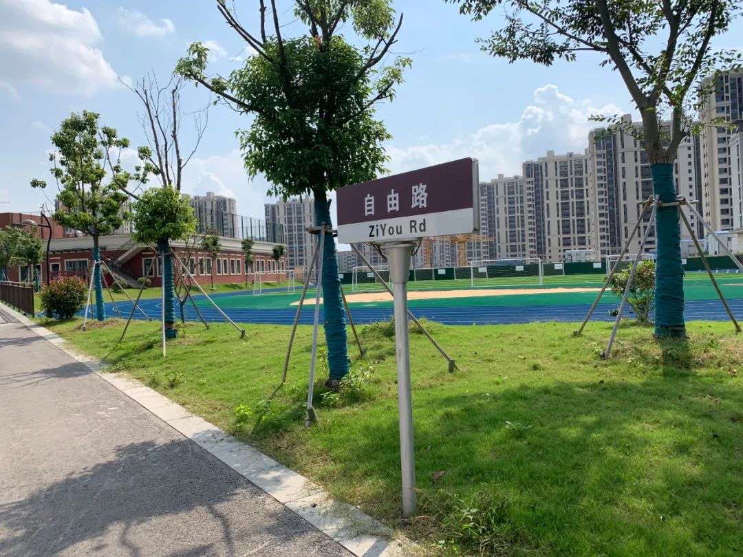 琅小最新分校进驻南京南大门！“国优教师”校长领衔