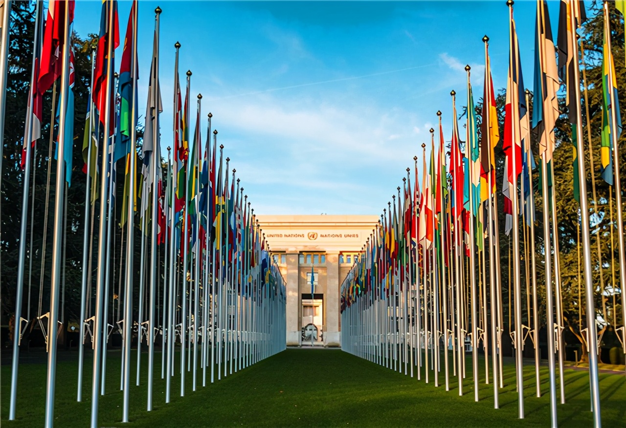 阿尔巴尼亚的庞氏大骗局,阿尔巴尼亚庞氏骗局讲解视频