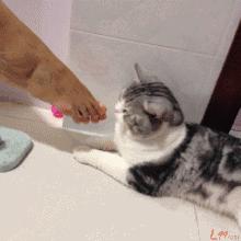 怎样才能简单让臭脚去臭,现在治脚臭的办法