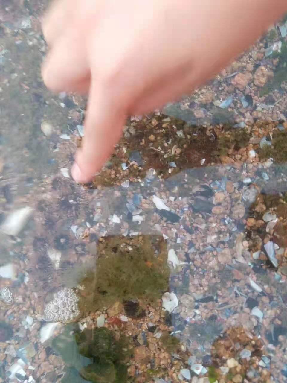 枸杞岛简介,冬天枸杞岛值不值得去