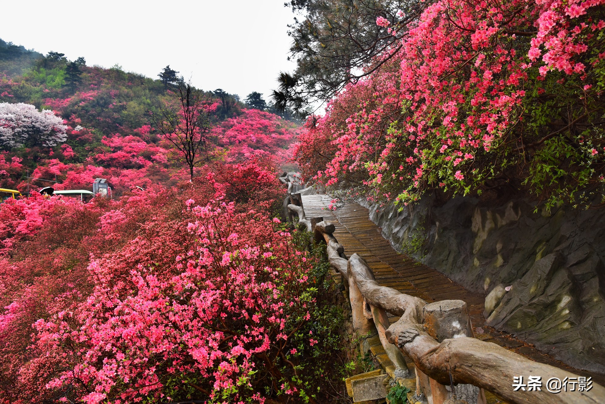 武汉云雾山游玩攻略,安陆云雾山和黄陂云雾山