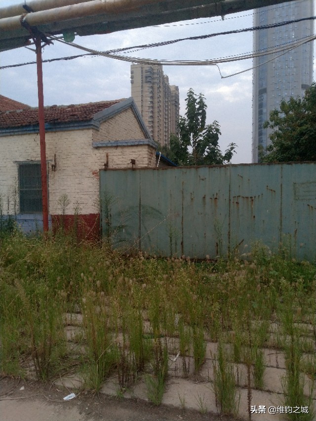 聊城人啊，请再看她一眼！