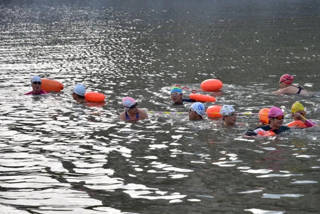 2020年盐城市青少年游泳比赛通知,盐城第九届游泳比赛