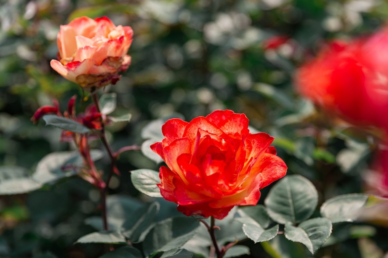 治愈圣地，共赴重庆合川铜梁，一见古今山水城