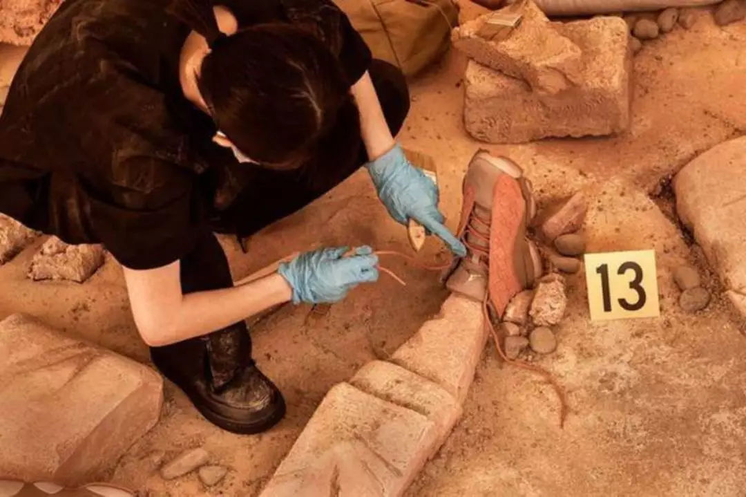 aj和陈冠希联名,aj陈冠希联名跟假的有啥区别