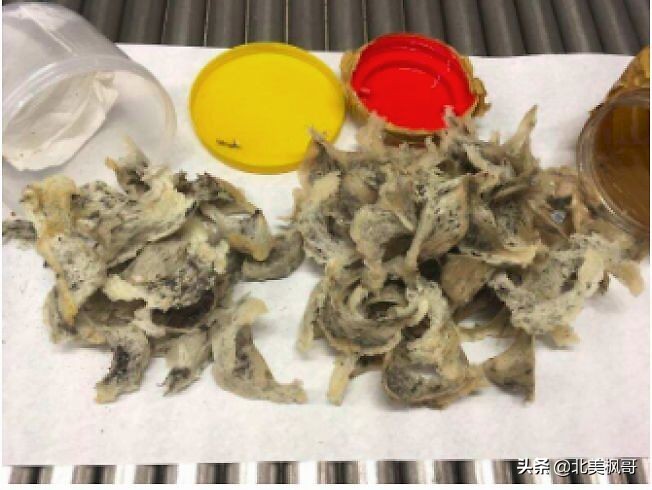 华裔大妈被罚1000元,华人大妈被罚款