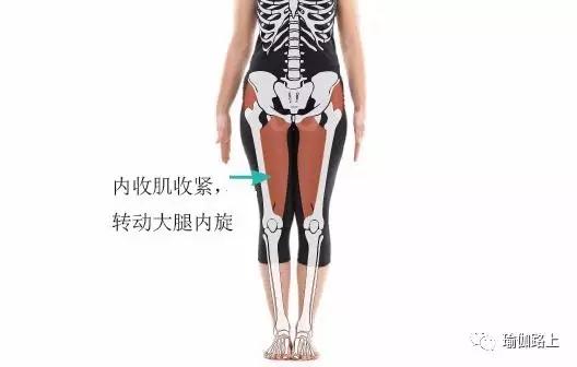 双腿并拢放平无法坐直,双腿并拢很难