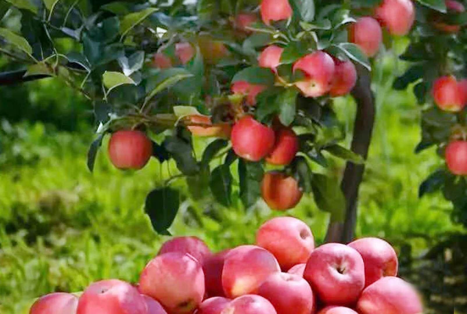 大美合阳县,大美合阳图片大全