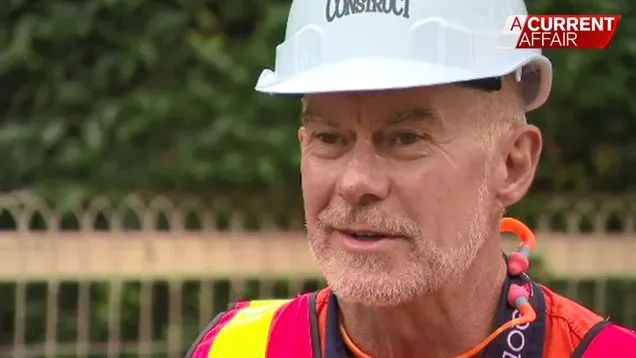 纽航空乘,纽航空姐失业后视频