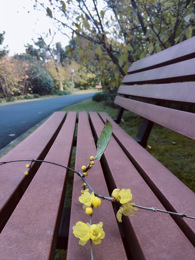 2022上海春节活动汇总,上海旅游文化节