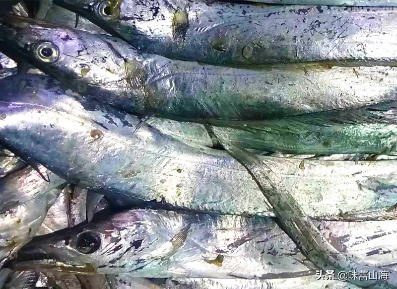 清蒸带鱼用哪产的带鱼,腌制带鱼的最正确清蒸带鱼方法