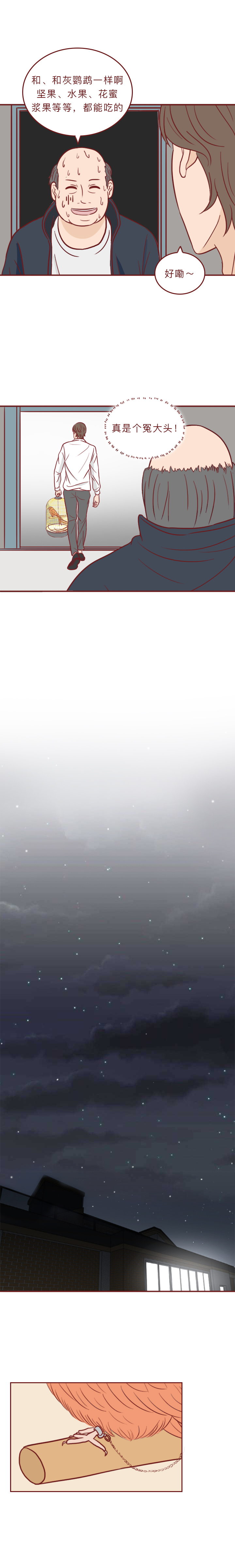 动物竟然把人当宠物一样囚禁和喂养,一部黑暗讽刺漫画