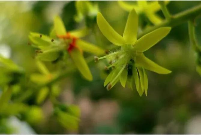 绉嬫棩绗旇鐩存挱,绉嬫棩绗旇