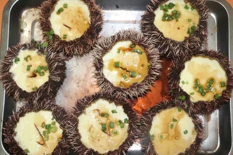 海边美食推荐旅游攻略,海边旅游美食风景攻略