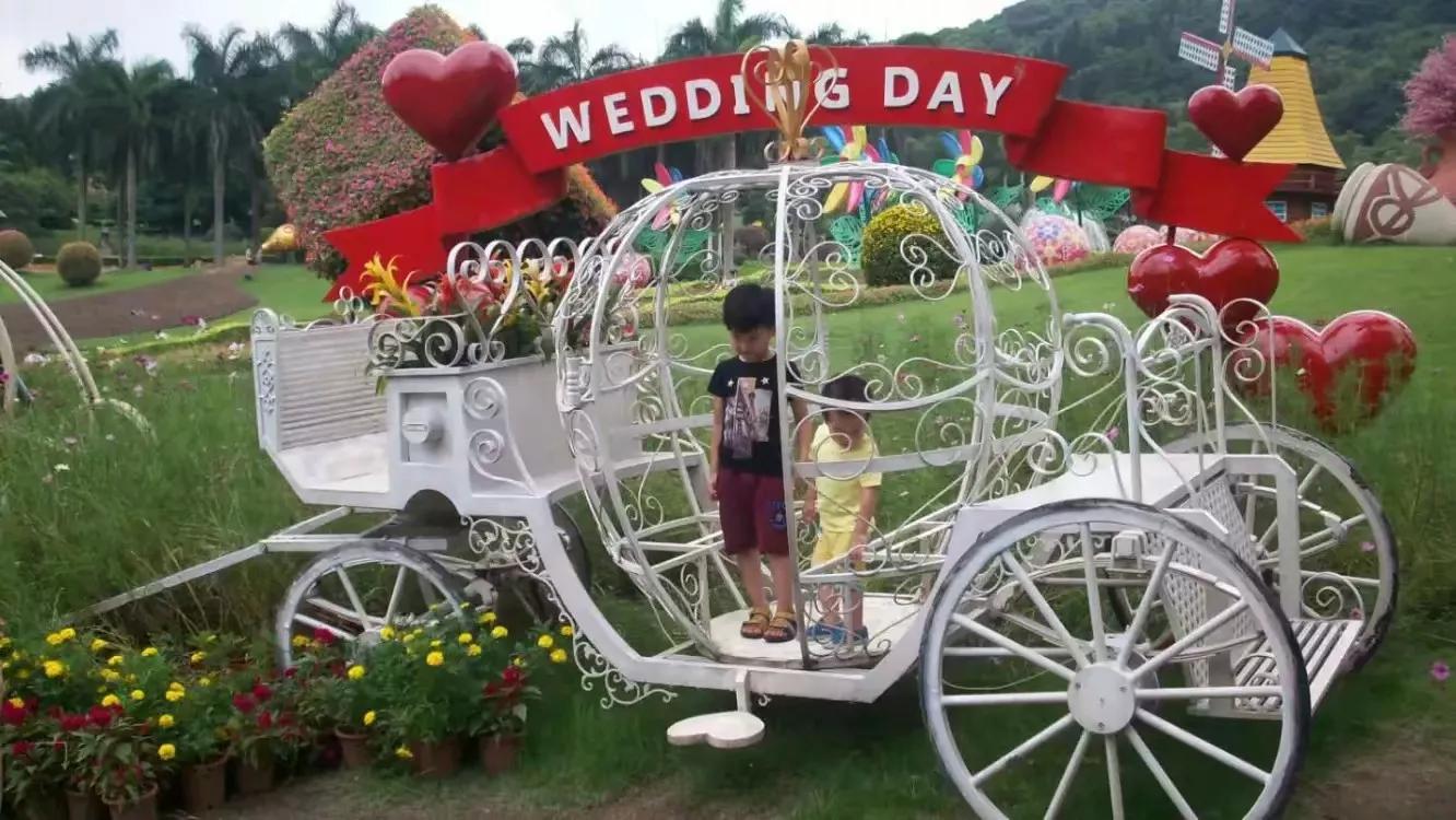 广州云台花园鸟语花香好去处,雨中的广州云台花园