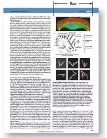 sci论文插图,医学sci论文插图教程