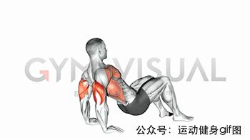 100张肌肉分解图,手臂肌肉的爆发力怎么练