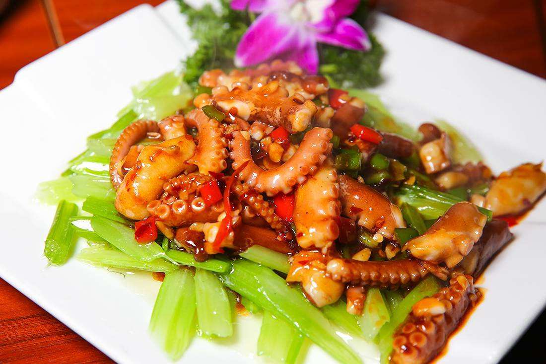 科学家发现章鱼高智商谜,八爪鱼真的是外星人吗