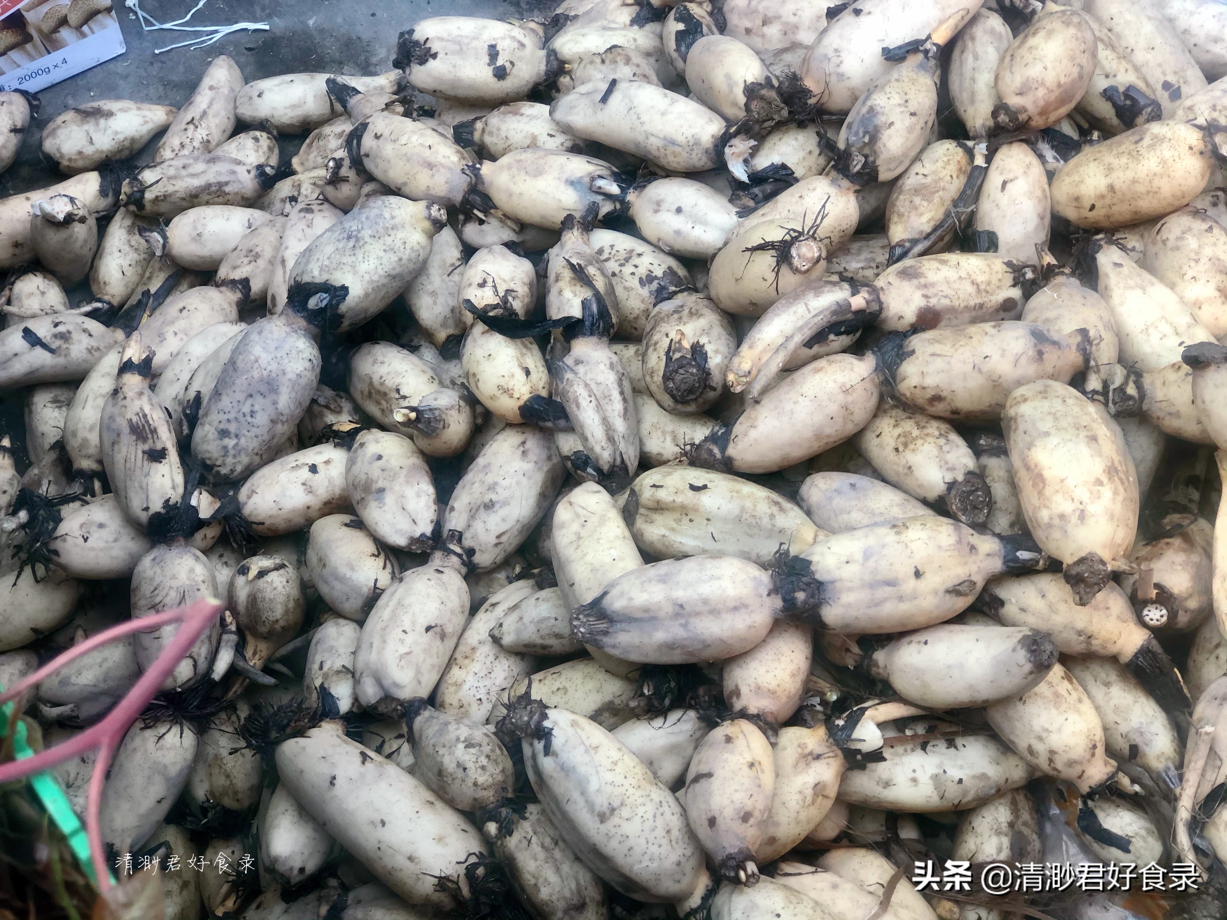 秋天多吃这5宝养人又润燥,入秋后最为滋补的五宝你吃了么