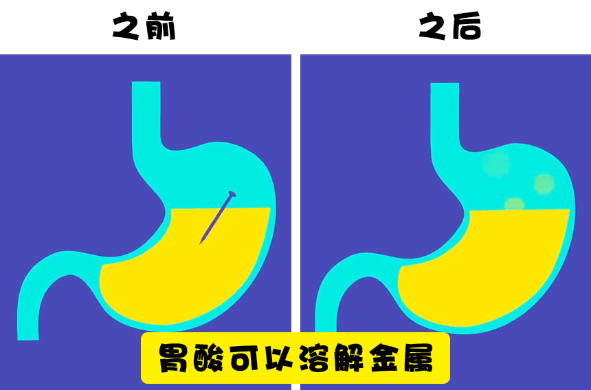 关于人体，大多数人还不知晓的15个事实