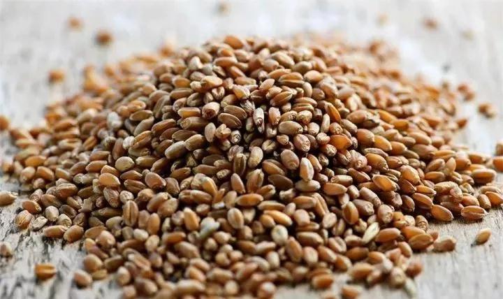 鲜酿酿酒设备的选择,传统工艺小麦酒酿造技术全过程