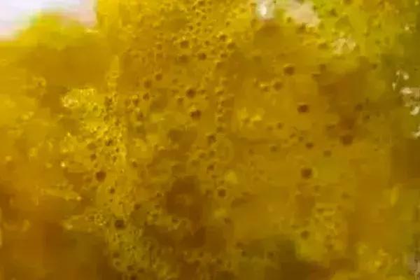 新手爸妈稳住！手把手教你看懂千姿百态大便便（超全观察指南）