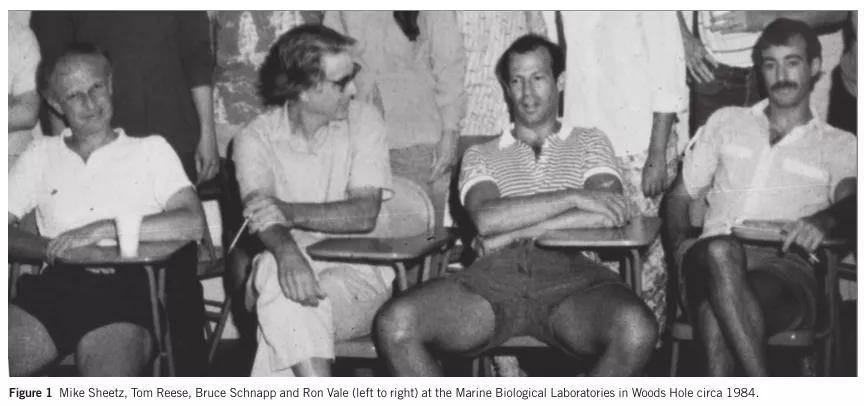 26岁一年4篇Cell！他的经验发表在IF36.13期刊上