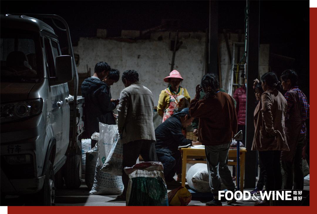 云南咖啡排名,云南咖啡十大品牌