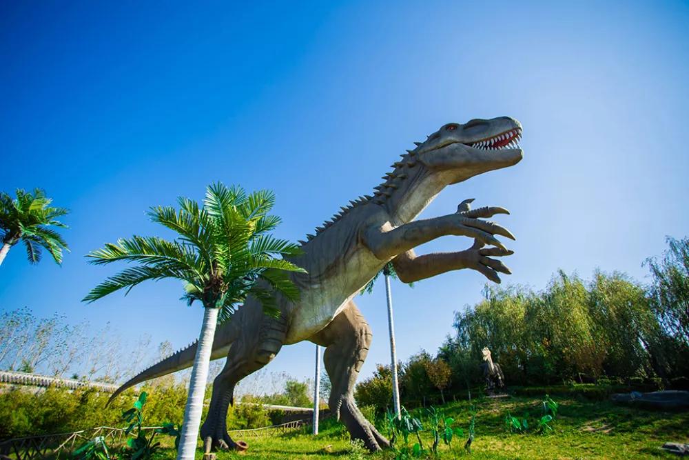 龙园开放了吗,龙园景区最新消息