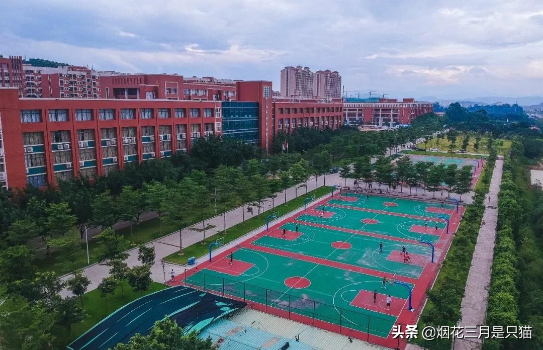 征集志愿广东专科有哪些学校,广东专科征集志愿学校