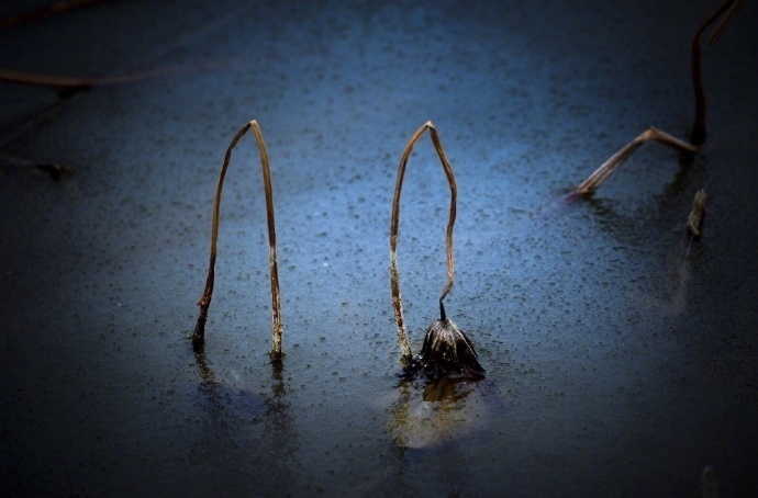 上下五千年最全的诗词全集,人民日报评五千年来最好的诗词